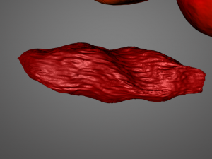 goji berry Model 3D