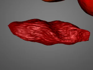 goji berry 3D Model