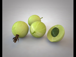 gooseberry 3D Model