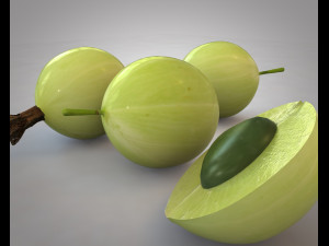 gooseberry Modelo 3D