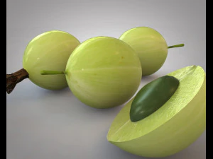 करौंदा 3D मॉडल