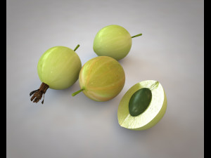 gooseberry Modelo 3D