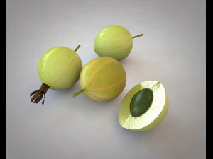 करौंदा 3D मॉडल