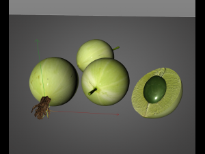 gooseberry Modelo 3D