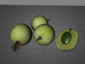 करौंदा 3D मॉडल