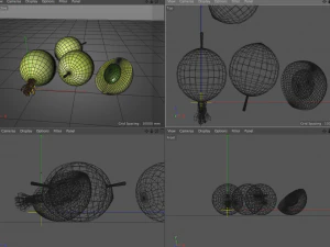 करौंदा 3D मॉडल