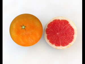 grapefruit 3D Model