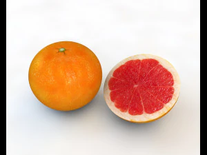 grapefruit 3D Model
