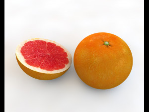 grapefruit 3D Модель
