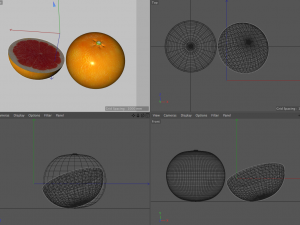 grapefruit 3D Модель