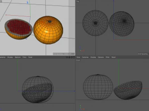 grapefruit 3D Model
