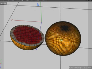 grapefruit 3D Model