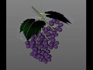 black purple grapes 3D Model