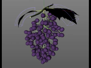 black purple grapes 3D Model