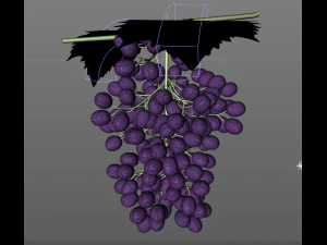 black purple grapes 3D Model