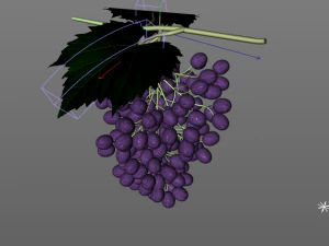 black purple grapes 3D Model