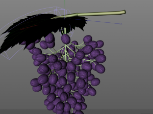 black purple grapes Modelo 3D