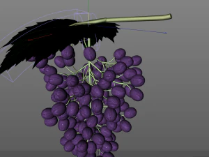 black purple grapes 3D Model