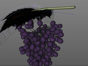 black purple grapes 3D Model