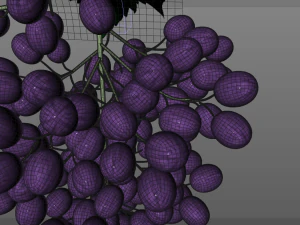 black purple grapes 3D Model