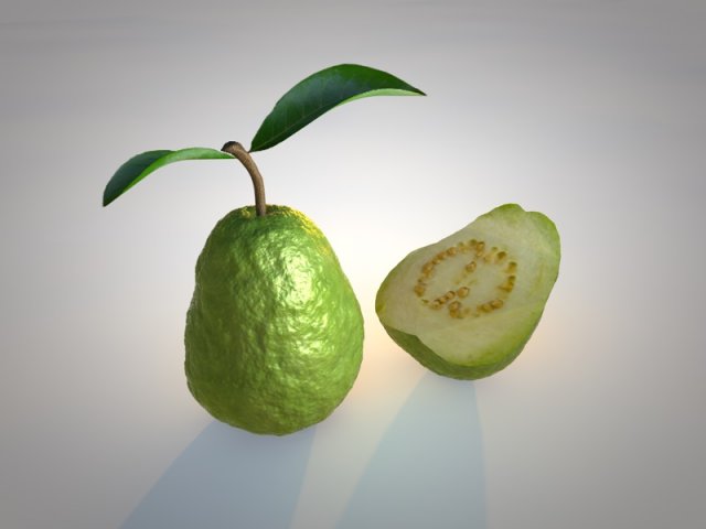 guava 3D 模型 .c4d .max .obj .3ds .fbx .stl .blend 