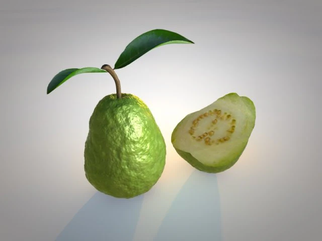 guava 3D Model .c4d .max .obj .3ds .fbx .stl .blend