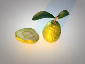 guava 3D 模型