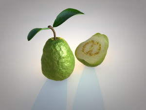 guava 3D 模型