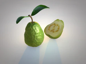guava 3D Model