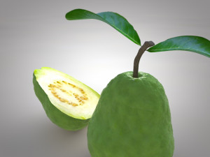 guava 3D 模型