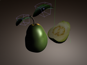 guava 3D 模型