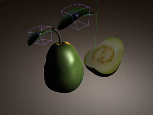 guava 3D Model