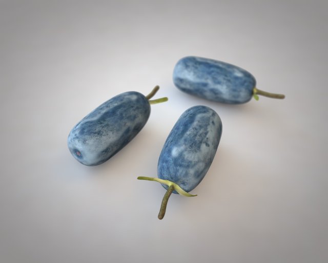 honey berry berries 3D Модель .c4d .max .obj .3ds .fbx .stl .blend 