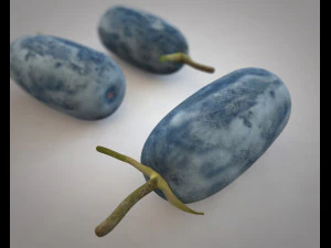 honey berry berries 3D Model