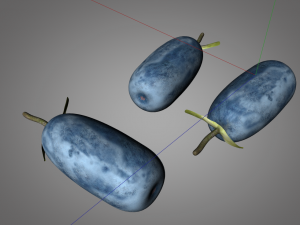 honey berry berries 3D Модель