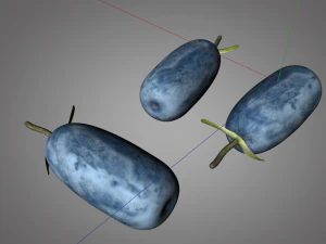 honey berry berries 3D Model