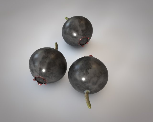 huckleberry Model 3D .c4d .max .obj .3ds .fbx .stl .blend 