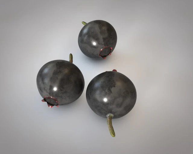 mirtillo Modello 3D .c4d .max .obj .3ds .fbx .stl .blend 