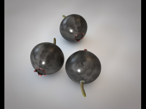 huckleberry 3D Model