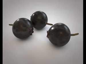huckleberry Model 3D