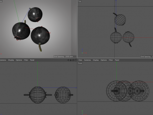 huckleberry Model 3D
