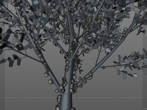 jabuticaba fruit tree 3D Model