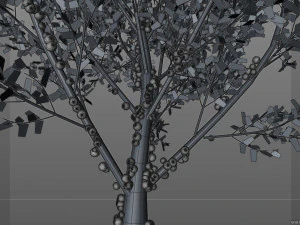 jabuticaba fruit tree 3D Model
