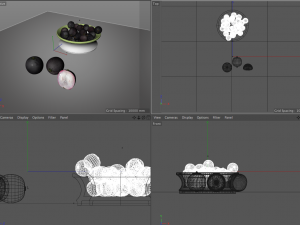 jabuticaba fruit 3D Model