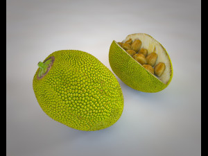 jack fruit 3D Model