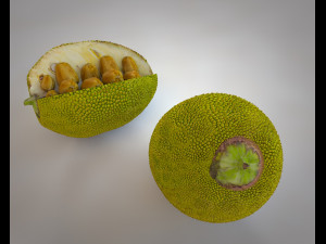 jack fruit 3D Модель