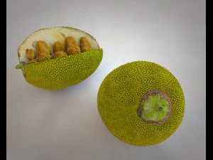 jack fruit 3D Model