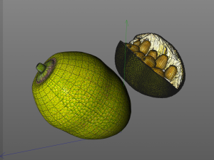 jack fruit 3D Модель