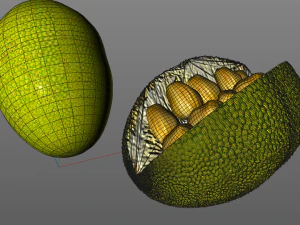 jack fruit 3D Model