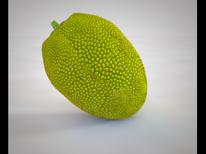 jack fruit 3D Модель